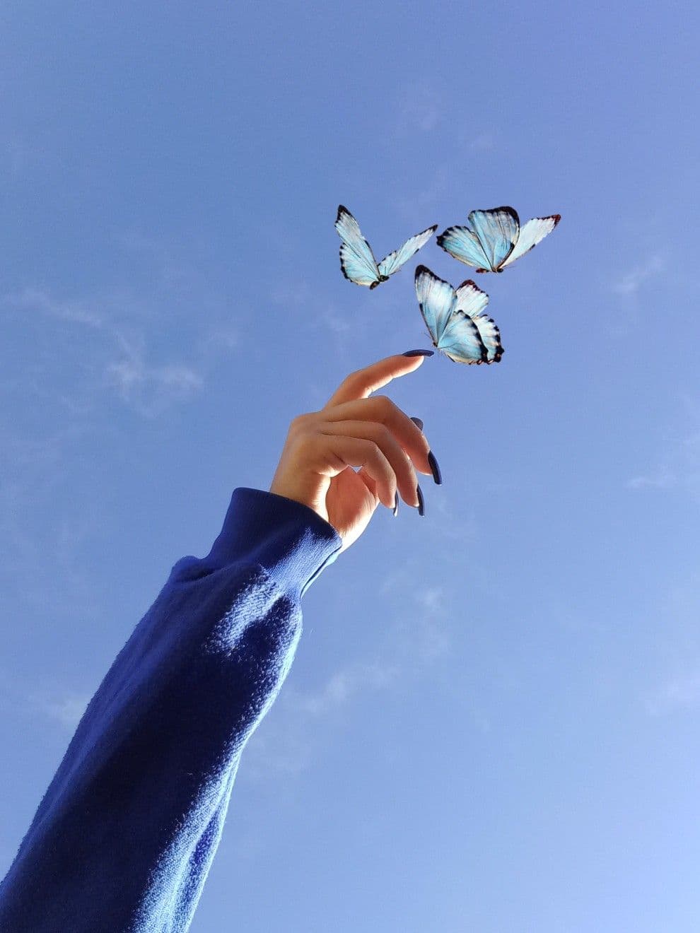 BUTTERFLIES
