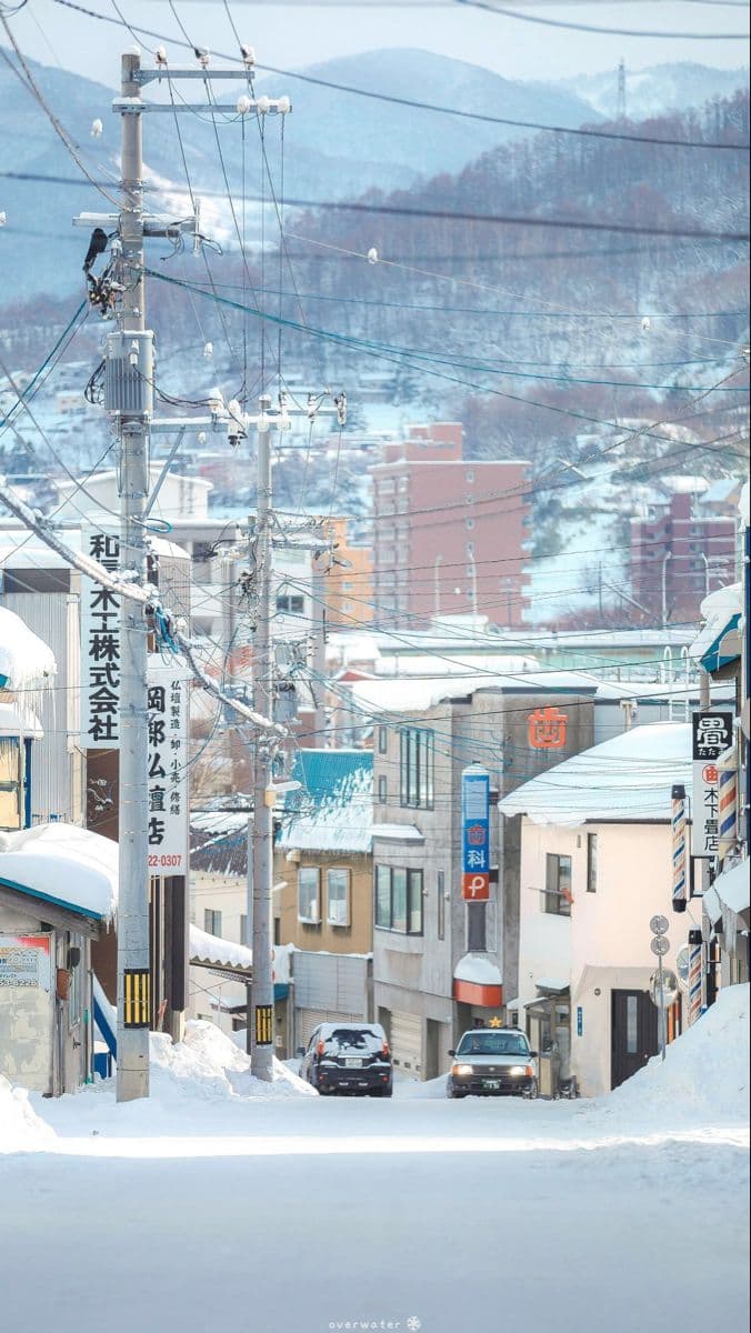 Odoriko