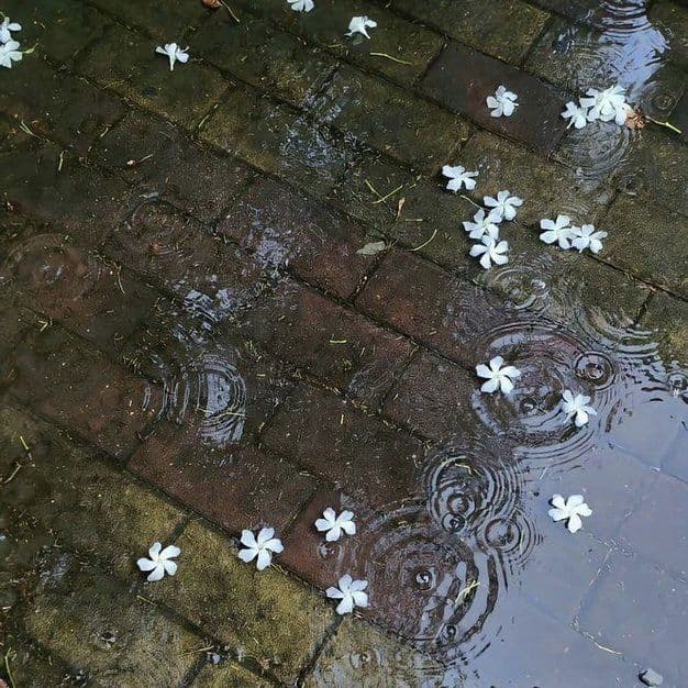 Some time when it rain