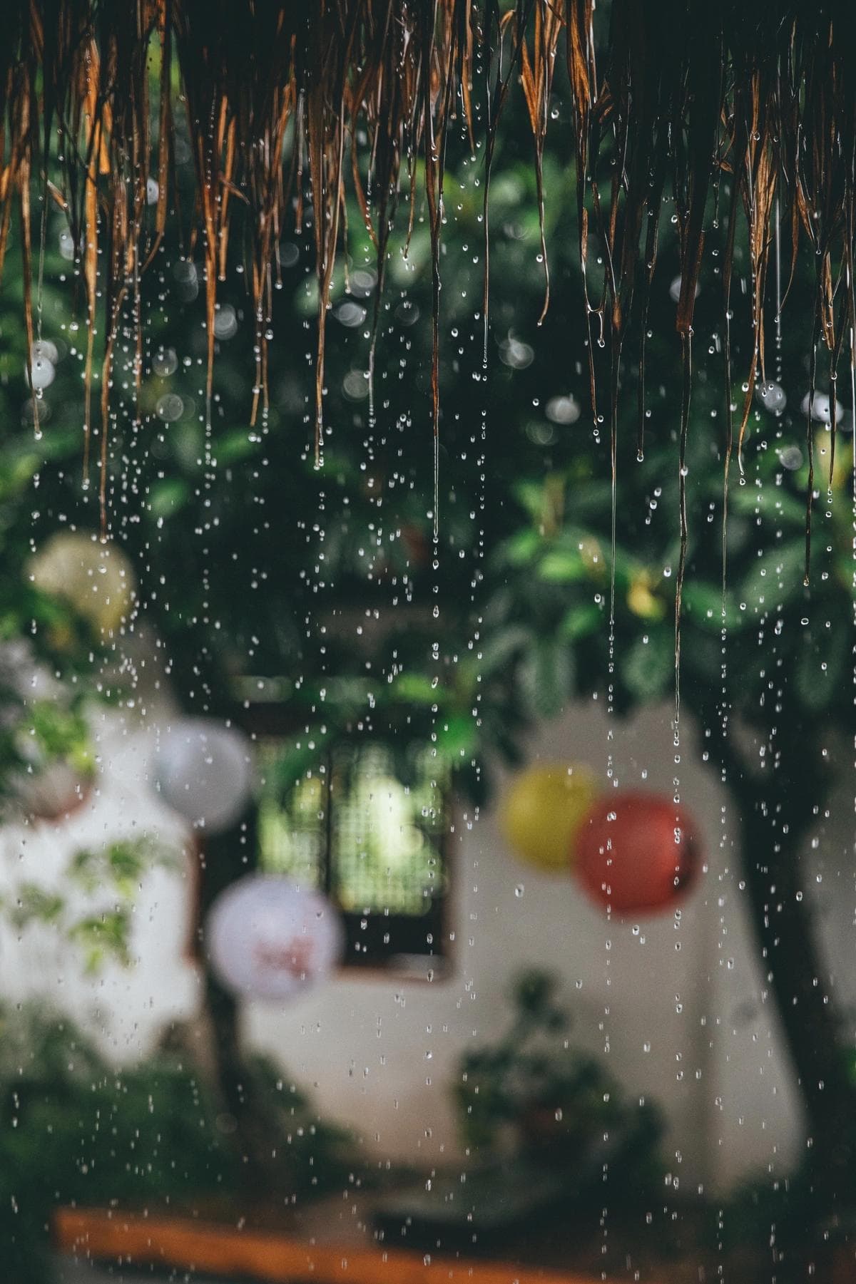 https://res.cloudinary.com/drpksxymr/image/upload/v1717388507/1_bsfbgu.jpg