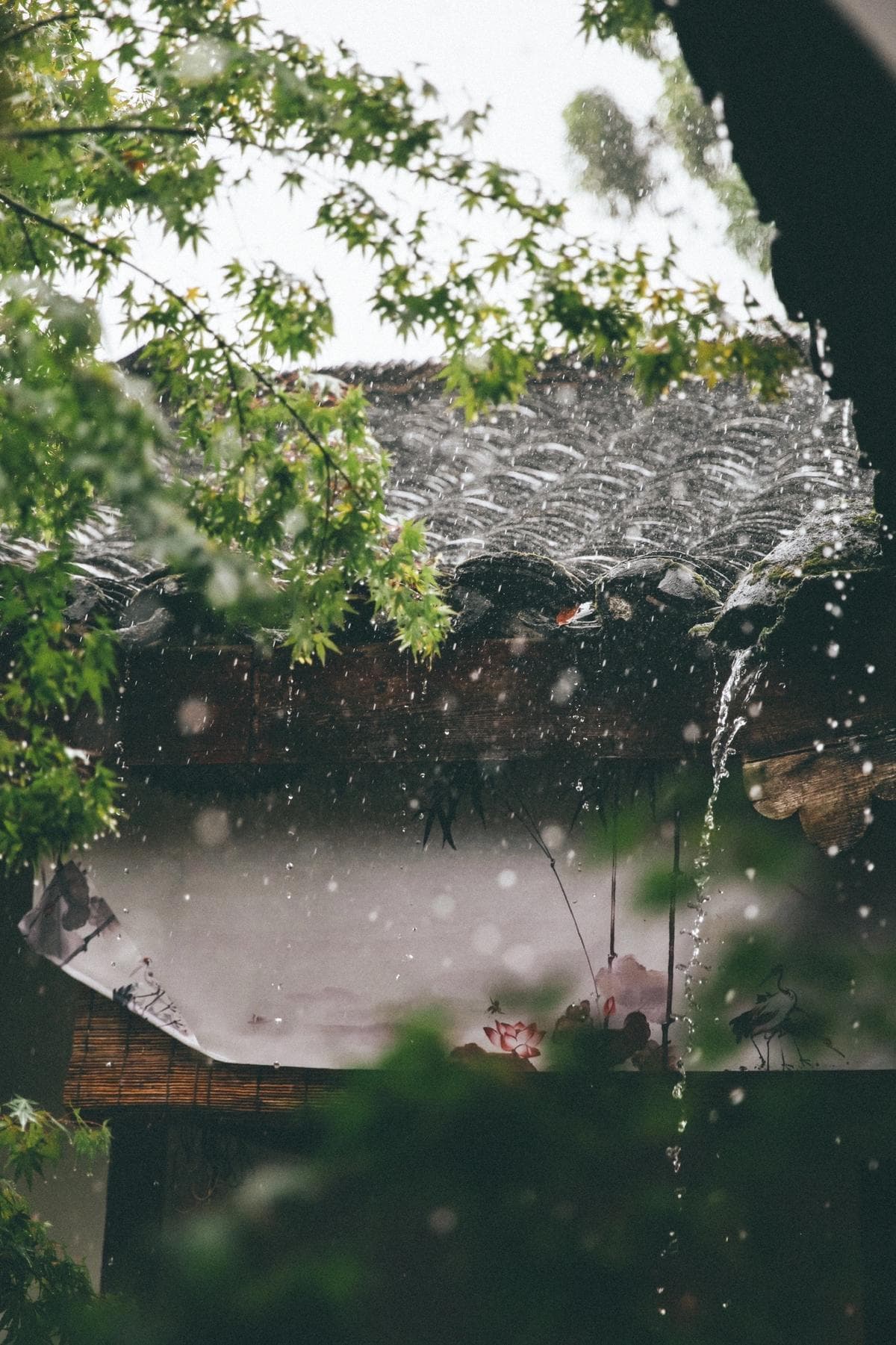 https://res.cloudinary.com/drpksxymr/image/upload/v1717388508/2_ouwway.jpg