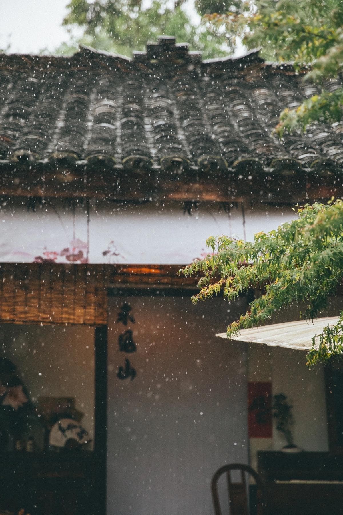 https://res.cloudinary.com/drpksxymr/image/upload/v1717388508/4_utf49j.jpg