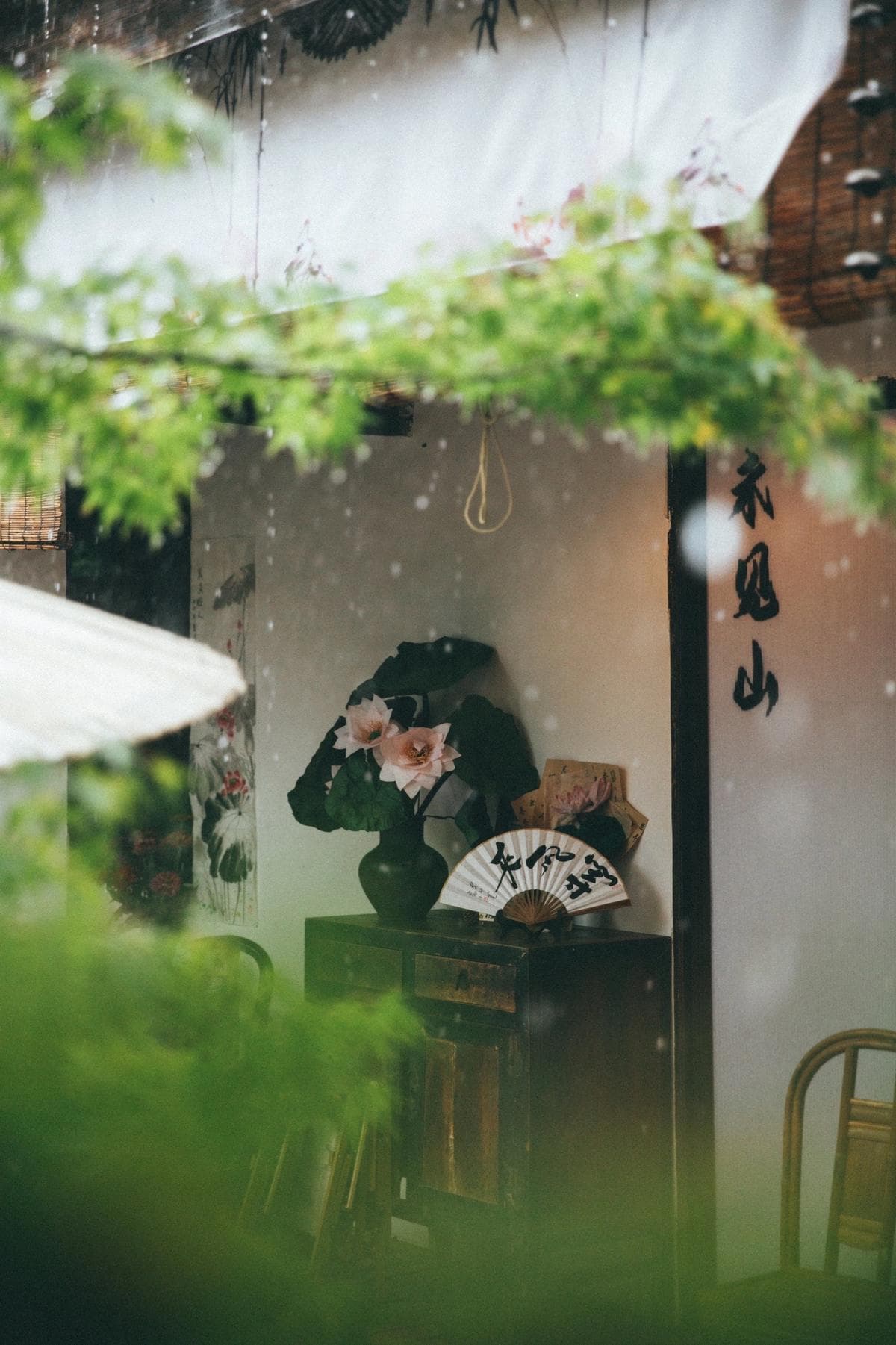 https://res.cloudinary.com/drpksxymr/image/upload/v1717388512/5_ps69m2.jpg