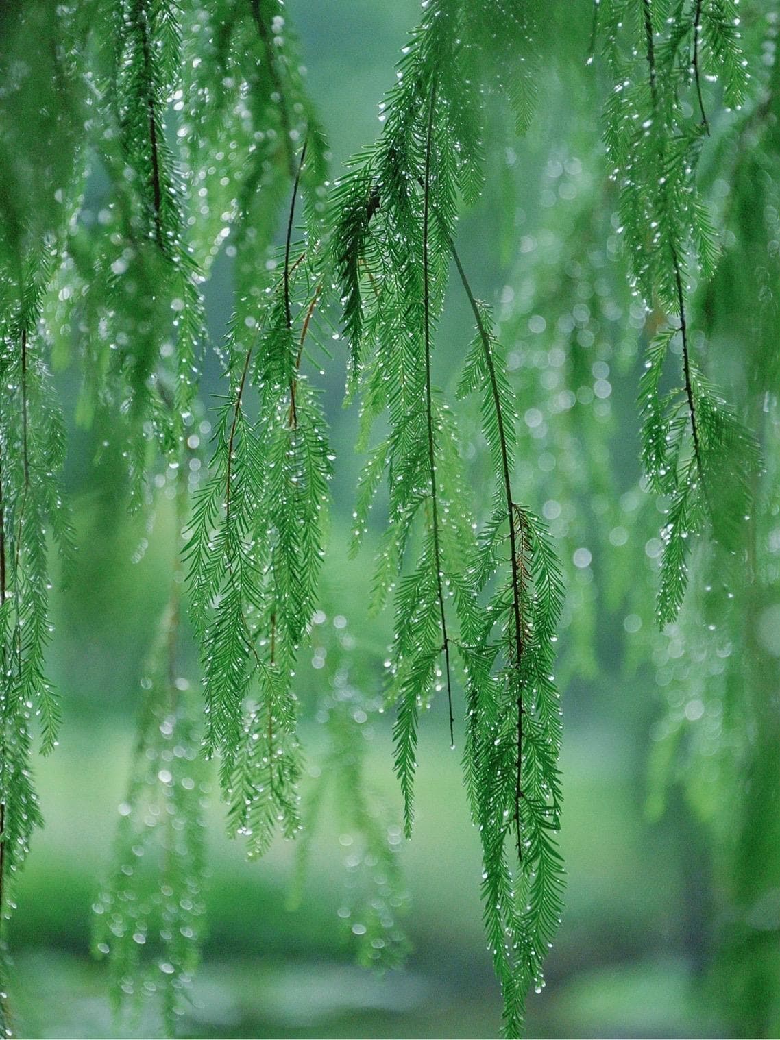https://res.cloudinary.com/drpksxymr/image/upload/v1717388512/8_qvpfcp.jpg