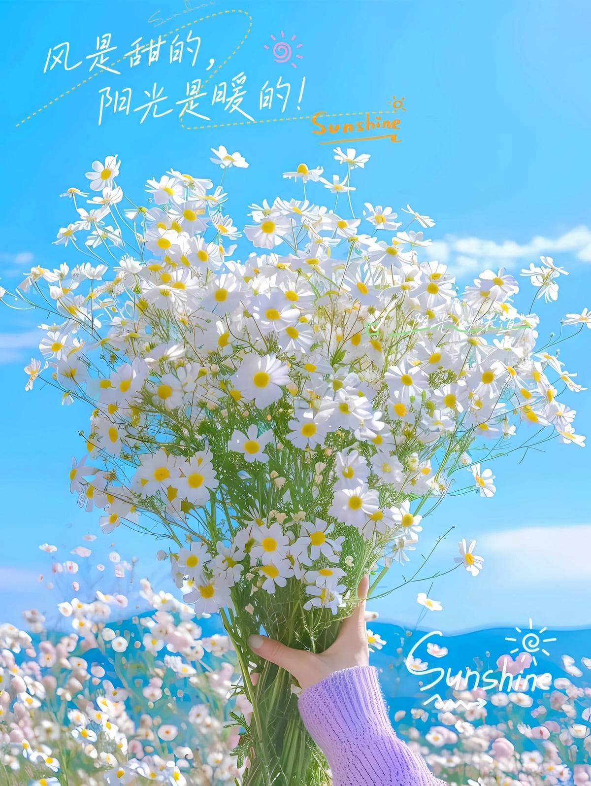 https://res.cloudinary.com/drpksxymr/image/upload/v1717581476/1_v8fxoh.jpg