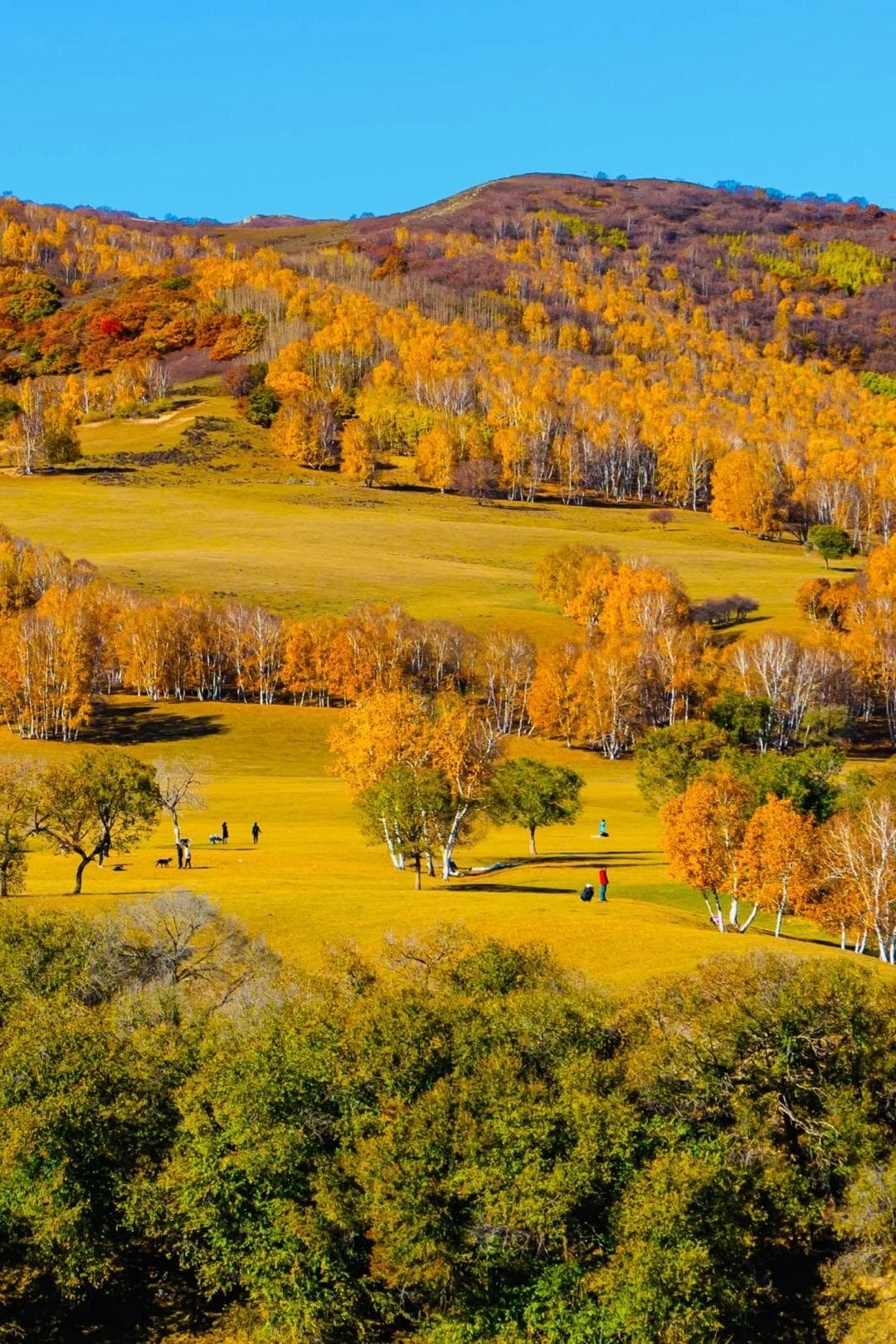 https://res.cloudinary.com/drpksxymr/image/upload/v1717582088/1_fuzhze.jpg