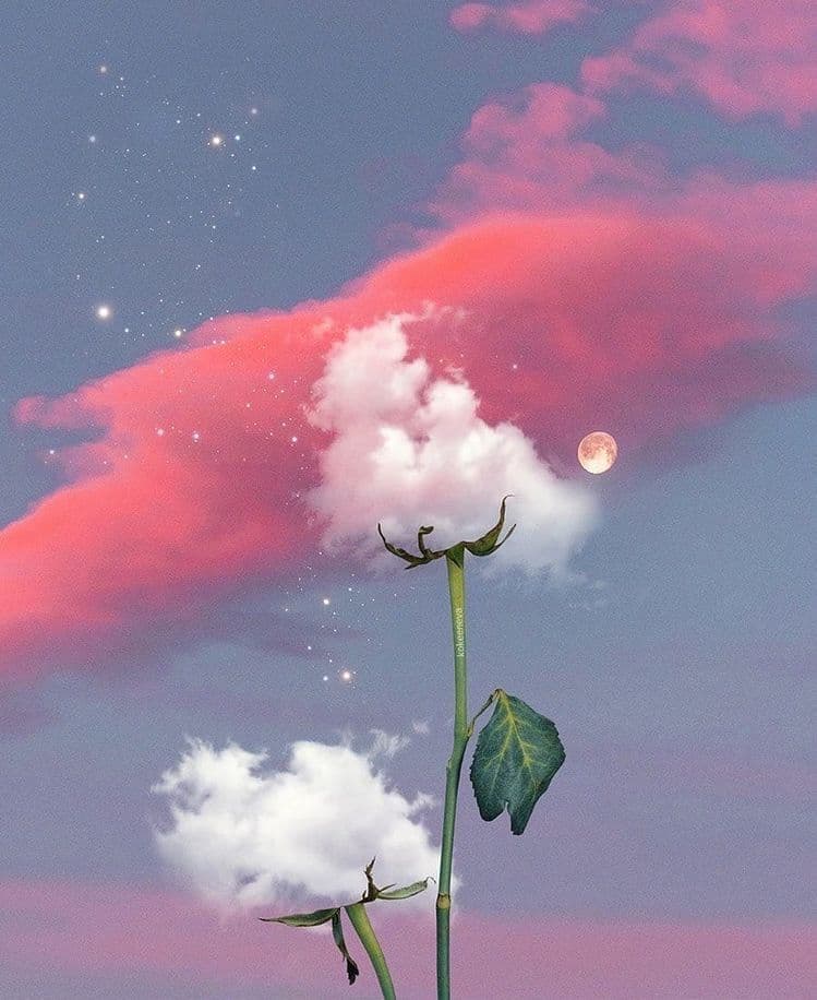 Fly a letter to the wind
