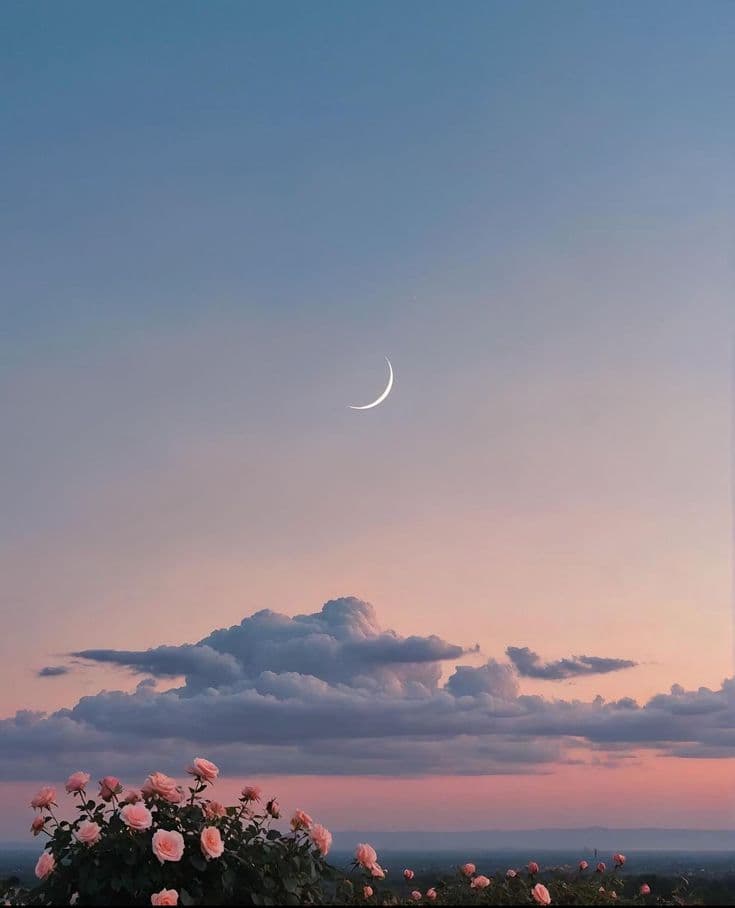 Good morning (Ins.)